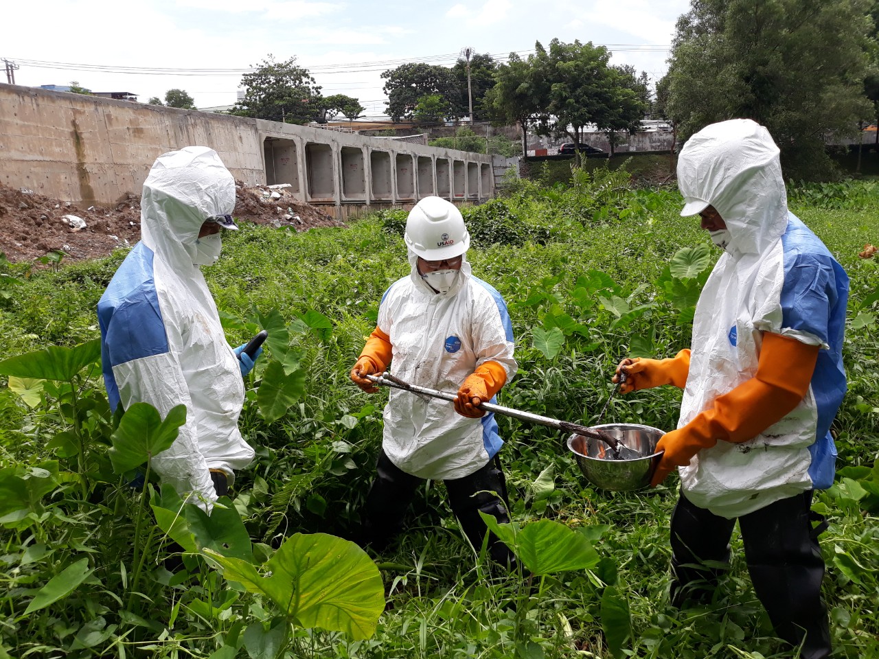 A group of people in white protective suits in a field

Description automatically generated
